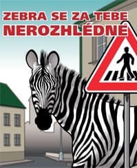 Zebra